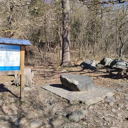 Pensjonat Kekbazalt Vendeghaz Badacsonytomaj