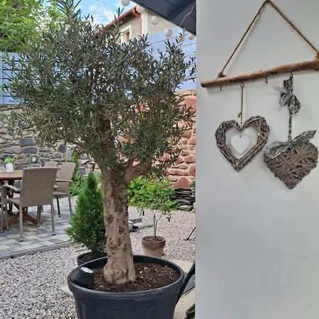 Pensjonat Kekbazalt Vendeghaz *